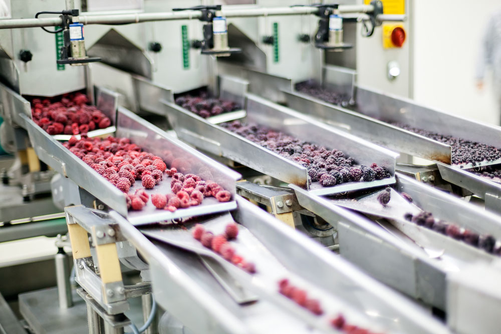Food Processing Hancock Real Estate